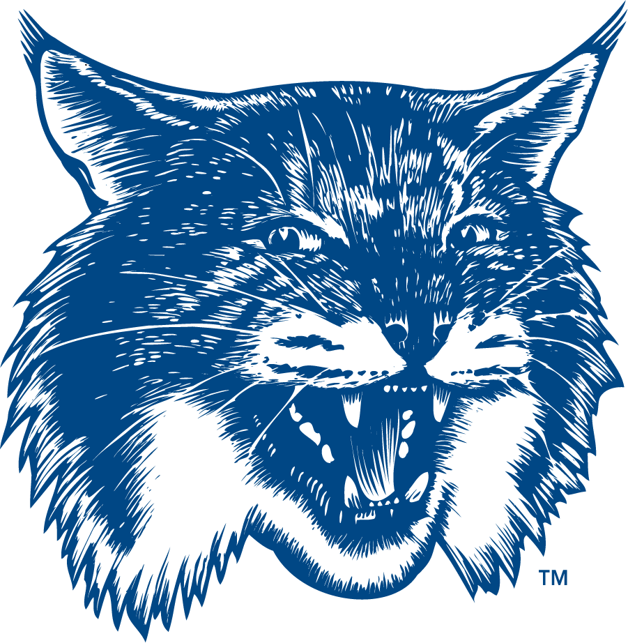 New Hampshire Wildcats 1993-2000 Secondary Logo v3 t shirts iron on transfers